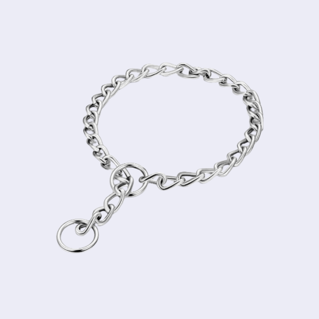 Collier Pour Chien étrangleur En Métal – GROCI