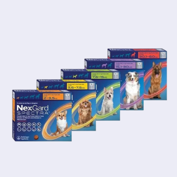 Nexgard spectra pour chiens